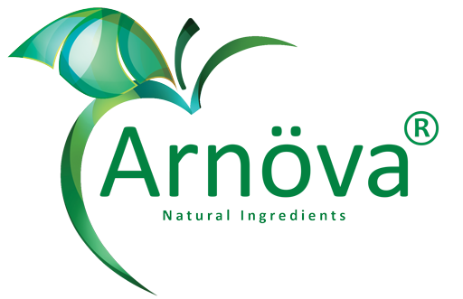 Arnova logo footer